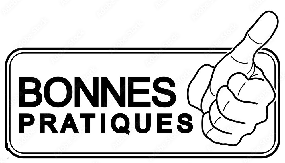 Bonnes pratiques cybersécurité